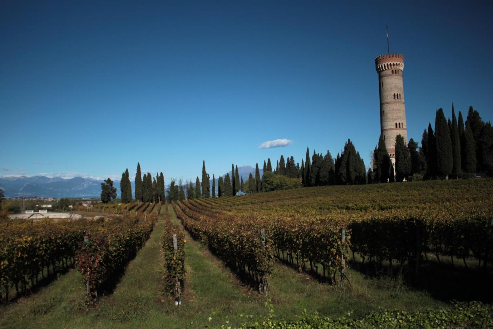 Casa Lorena Desenzano del Garda Dış mekan fotoğraf